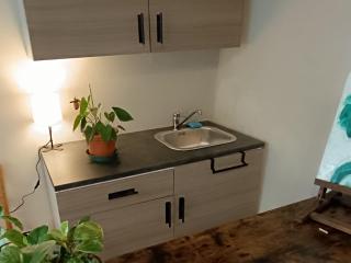 LA COLLINETTA DI PINO d'ASTI - 3