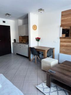 B8 Luxury Studio Apartment in Bansko - Bansko - 9