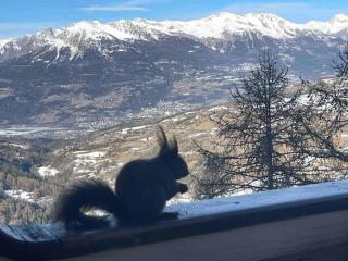 Studio Cosy les Orres 1650 - Les Orres - 3