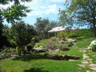 Le clos de fougères Les Fleuriéres - - 8