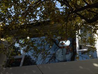 Shanghai Hills & Gefii Kumomon - 1