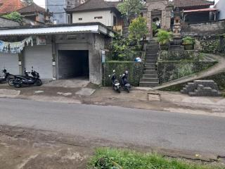 Jungle View House - Ubud - 9