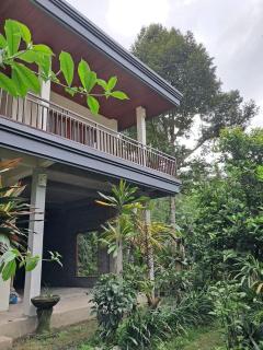 Jungle View House - Ubud - 4