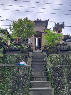 Jungle View House - Ubud - 3