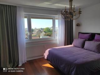 Grand F3 COSY proche du centre-ville - Strasburgo - 1