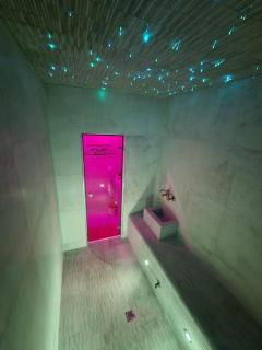 Ubud suite and spa - Tourcoing - 8