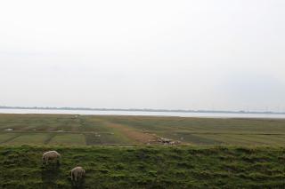 Haus Lith - Meerblick - Nordstrand - 9