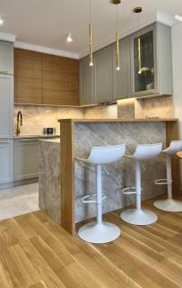Apartament NEW YORK z klimatyzacją w centrum - podziemny parking w cenie - IZBY PODHALAŃSKIE - 1