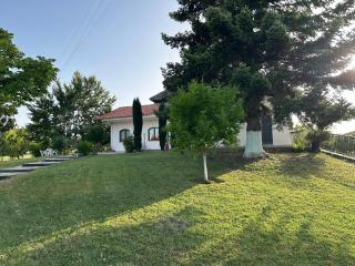 Villa Elysia - Khiliódhendron - 5