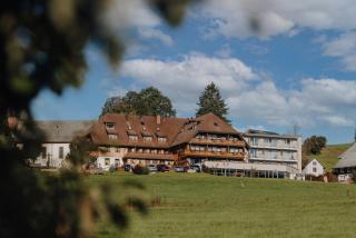 Hotel Sonne Post mit Schwimmbad - Titisee-Neustadt - 3