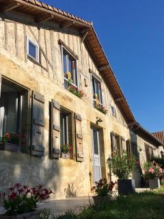 Les Cèdres de Nauton - Vergoignan - 0