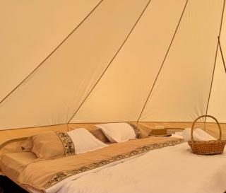 Starlight privet camp - Ḩawīyah - 2