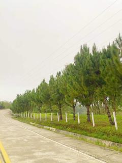 Tiny House in Dahilayan - 4