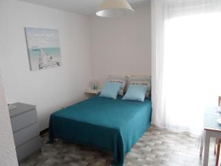 Studio climatisé, proche Thermes, animaux admis - FR-1-503-87 - Balaruc-les-Bains - 0