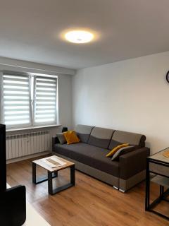 Apartament Julia 1-3 os parter Centrum śniadanie kontynentalne - Kielce - 6