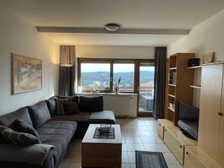 Apartment Schwarzwaldblick-27 by Interhome - Obertal - 9