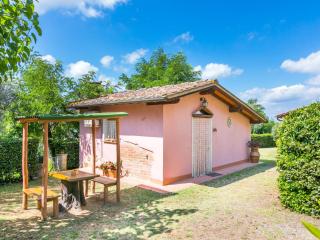 Holiday Home L'Uccelliera by Interhome - San Miniato - 3