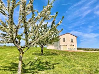 Domaine Joseph LAFARGE Wine Resort WineMaker House La maison du Négociant - Lugny - 8