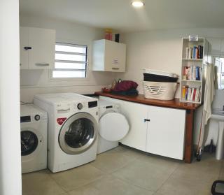 Les Cannes à Sucre de Plaiz'Anse - Petite Île - 4