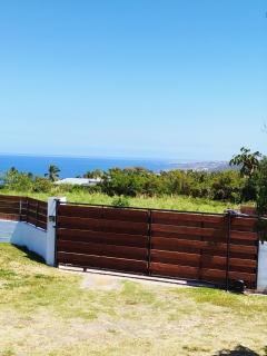 Les Cannes à Sucre de Plaiz'Anse - Petite Île - 1