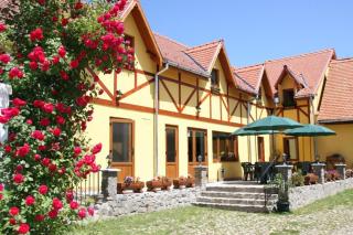 Pensiunea Bendorfeanu - Răşinari - 9