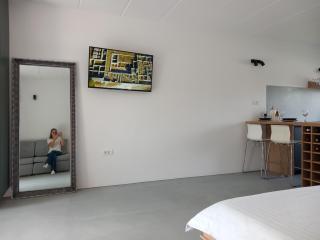 Fully Renovated Studio Apartment Pula Stinjan near the Beach - Pula - 4