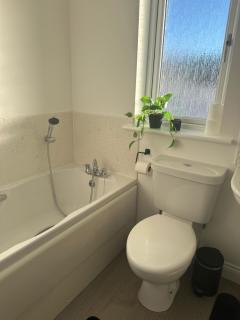 Black Daisy - Glasgow - 7