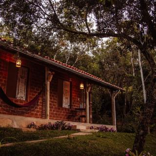 Villa Vinil - Bichinho - 5