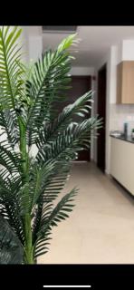 Cozy Studio Apartment Penta Square - Lahore - 5