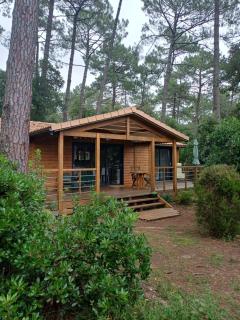 Chalet la lande - Ondres - 0