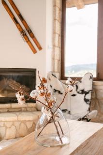 Cloud9 Chalet - Arachova - 6