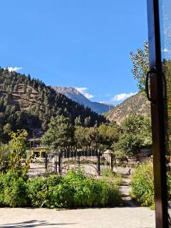 Riverside Retreat Homestay - Kalpa - 7