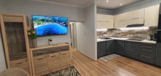 APARTAMENT MAJA - centrum, parking - Kudowa-Zdrój - 1