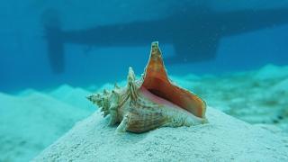 Catamaran in San Blás Islands, private boat - 4