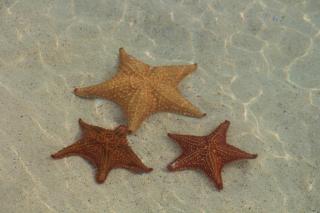 Catamaran in San Blás Islands, private boat - 3
