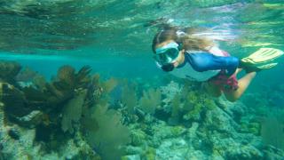 Catamaran in San Blás Islands, private boat - 1