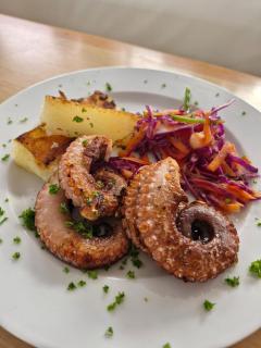 Catamaran in San Blás Islands, private boat - 6