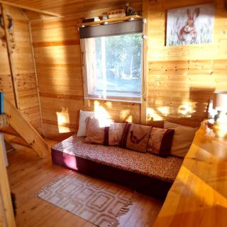 Mini saunahouse - - 9