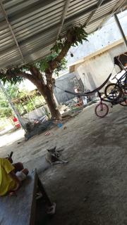 Sagara home - Kuta Lombok - 4