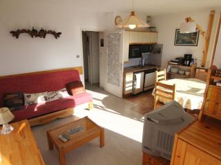 Studio 4 pers. 23m² - Centre, Télécentre, Animaux OK, Terrasse Sud - FR-1-405-182 - L'Alpe-d'Huez - 7