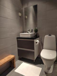 Moderni talo lähellä joulupukkia - 6