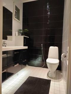 Moderni talo lähellä joulupukkia - 2