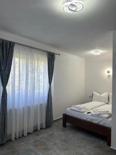 Pensiunea Casa Suciu - Cugir - 6