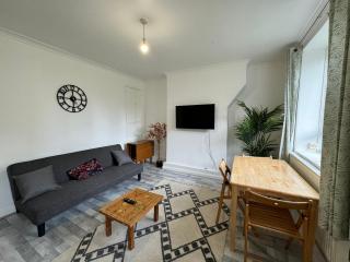 Well-Presented 1BD Flat Heart of East London - Londra - 9