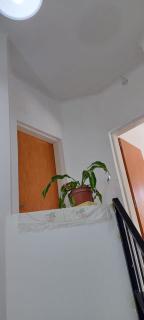Departamento San Pedro, Buenos Aires - San Pedro - 9