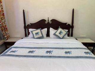 Haveli Gokul Niwas, Talawada Near Sitamata SAnctuary, Chittorgarh. - 4
