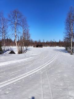 Arctic Hill Apartment Ylläs - Ylläs - 5