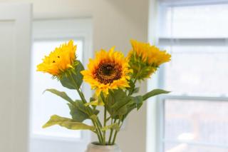 Sojourn's Coveted Cultural Family Home Destination Sleeps 6 - Newark - 1