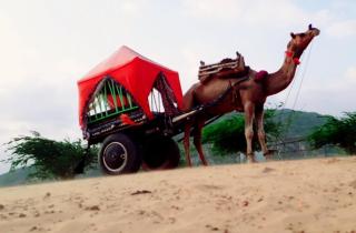 Desert Safari Camp Pushkar - Pushkar - 3