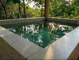 Tortuga Premium Riverfront Jungle Villa with Jacuzzi and Pool - Uvita - 5